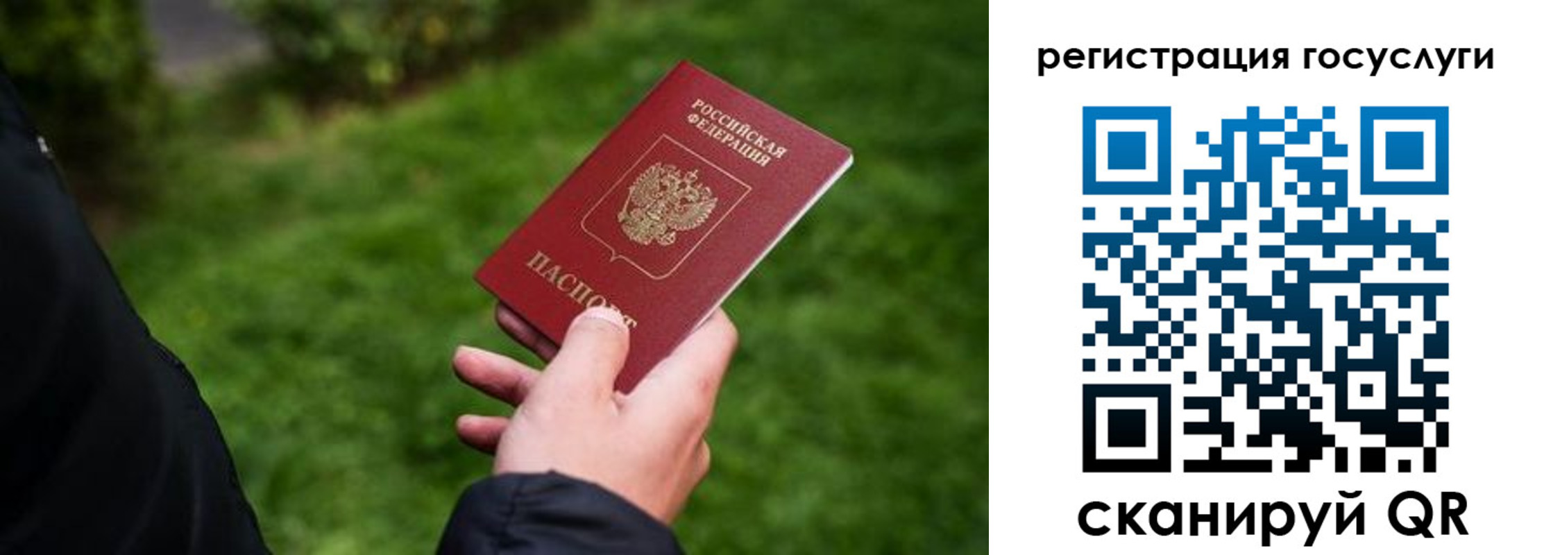 прописка в Пушкино